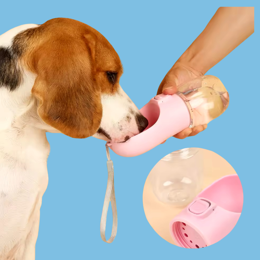 Gourde pour Chien Rose I Gourde Planete